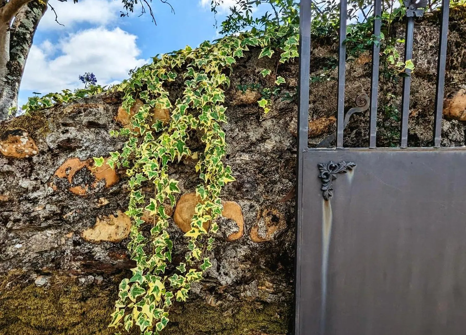 Quinta Das Latas Coimbra